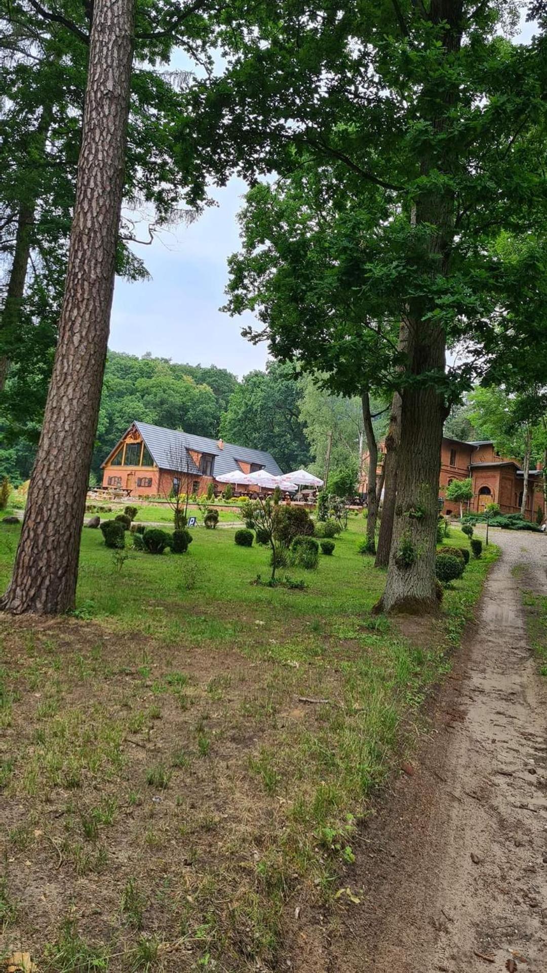 Dwor Mysinek Apartman Grabowiec  Kültér fotó